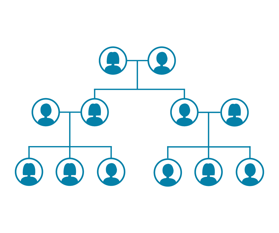 Family tree diagram to introduce editing and genealogy similarites